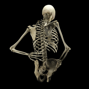 Human skeleton isolated on black background