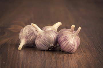 Garlic