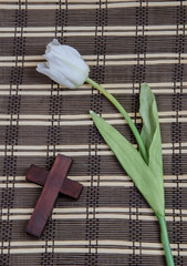 White tulip and wooden cross