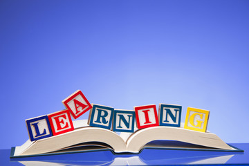 The word 'Learning'