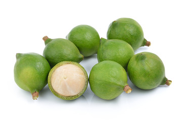 fresh macadamia nut on white background