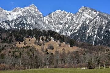 suisse alpine