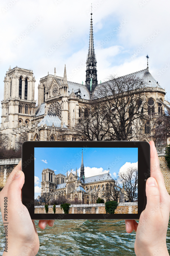 Sticker taking photo of cathedral Notre-Dame de Paris