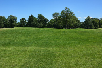 Lawn with forest line and blue sky. The golf course.