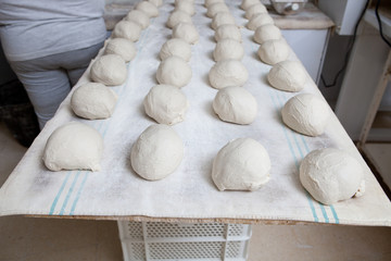 Fototapeta na wymiar Bread dough before fermentation