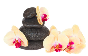 massage stones with aloe vera