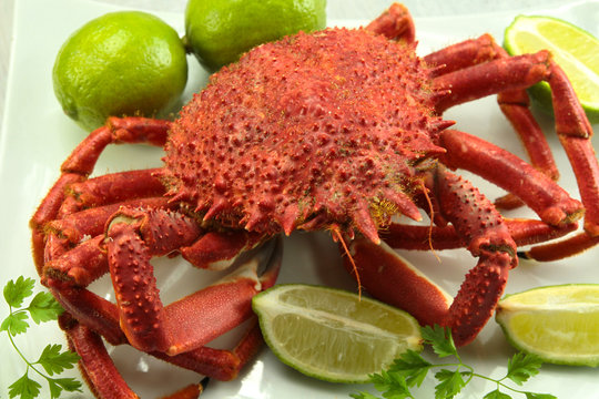 araign&eacute;e de mer