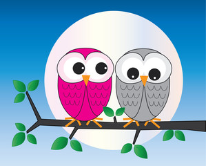 two sweet owls sitting on a branch