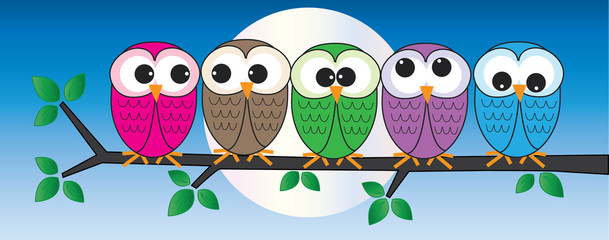 colorful owls sitting on a branch