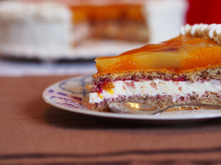 Piece of fruit cake with cream