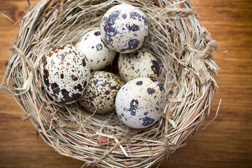 Quail eggs. Easter greeting card.