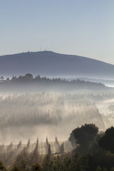 Beautiful view of the morning mist near Obidos, Portugal.