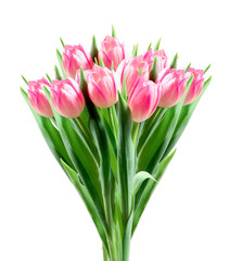 Bouquet of pink tulips isolated on white background