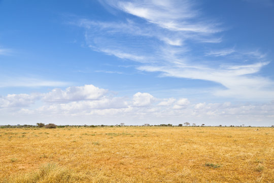 Fototapeta Tsavo East Landscape in Kenya