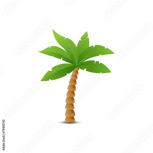 "Tropical palm isolated on white" Stock image and royalty-free vector