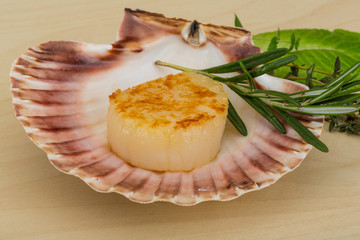 Grilled scallops