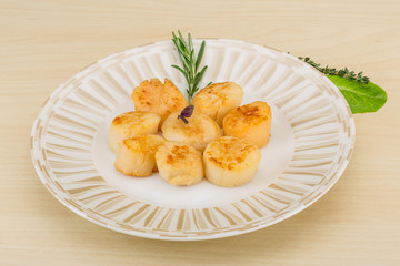 Grilled scallops