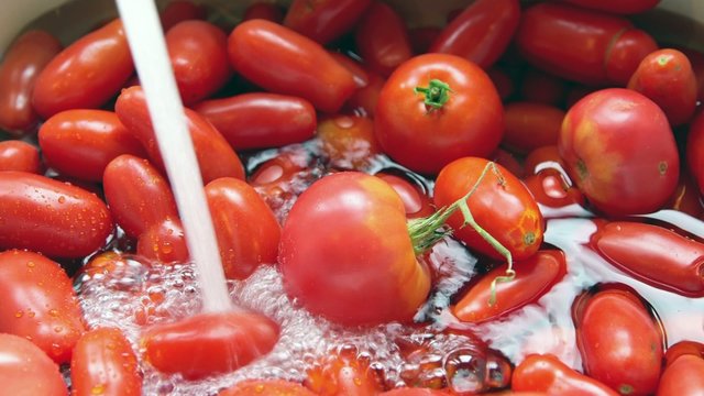 Washing fresh tomatoes under tap water from kitchen sink