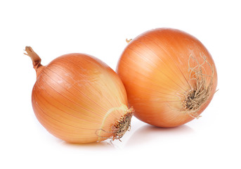 onion on white background