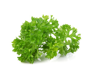 green leaves of parsley isolated on white background