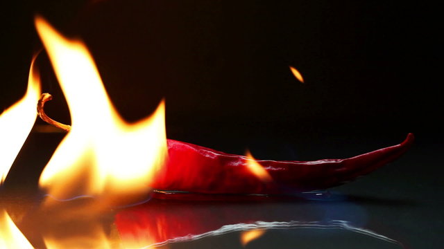 Burning chili pepper - very hot food