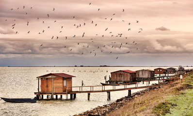 laguna del Delta del Po