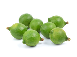 fresh macadamia nut on white background