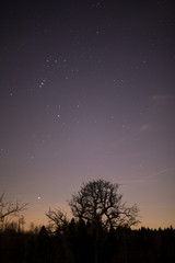 Obraz na płótnie Canvas Nacht mit Sternen und Horizont
