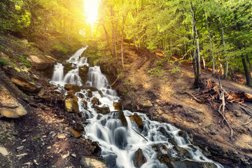 Beautiful waterfall in spring forest