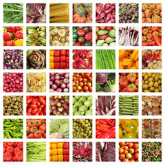 vegetable collage