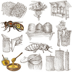 bees, beekeeping and honey - hand drawn illustrations - 79414972