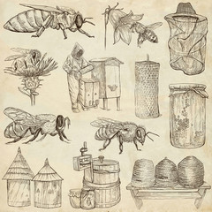 bees, beekeeping and honey - hand drawn illustrations