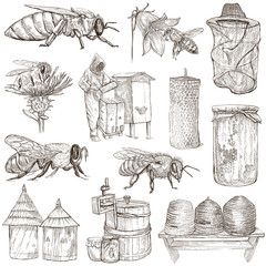 bees, beekeeping and honey - hand drawn illustrations