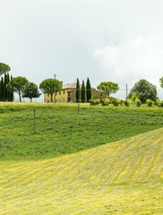 Montalcino (Tuscany, Italy)