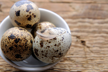 Obraz premium Raw quail eggs