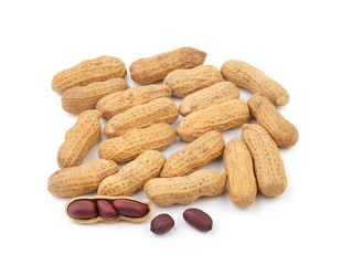 peanut on white background