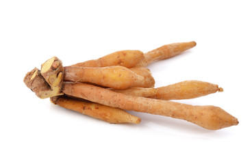 Fingerroot, Kaempfer, Boesenbergia on white background