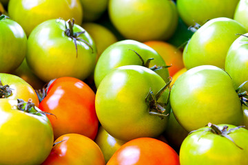 Green tomatoes