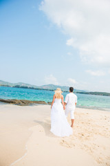 Fototapeta na wymiar bride and groom are holding hand on beach