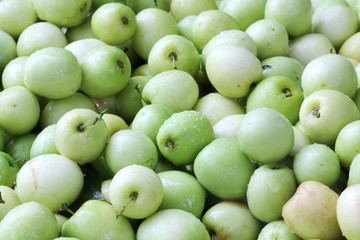 monkey apple, green fruit in Thailand