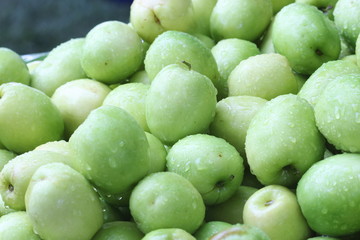 monkey apple, green fruit in Thailand