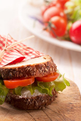 delicious fresh sandwich