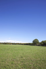草原　東京