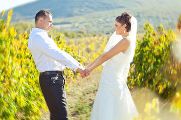Groom and bride are walking in a yellow field