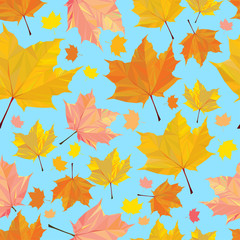 Polygonal maple pattern