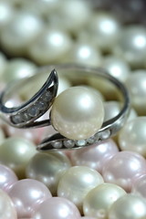  macro gold bead ,golden ball and pearl