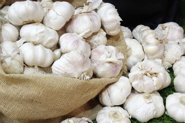 close up garlic in basket