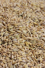 close up organic rice in sack bag