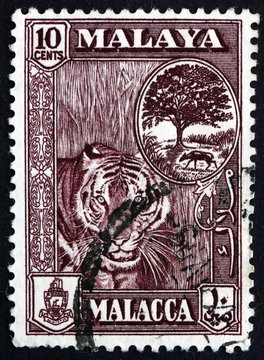 Postage stamp Malaya 1960 Tiger