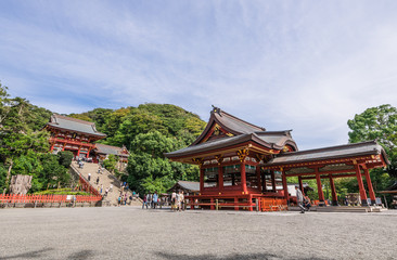 Fototapeta premium 鎌倉 鶴岡八幡宮
